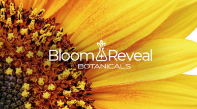 Bloom + Reveal