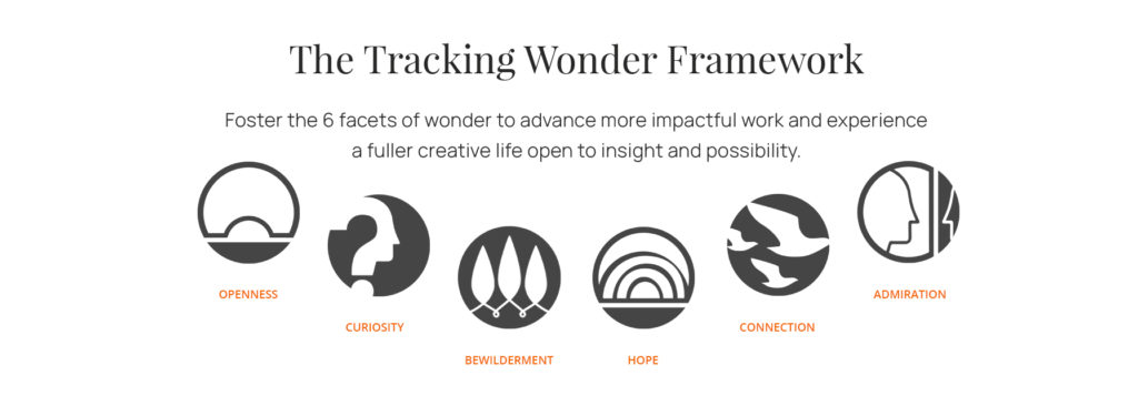 An image of Tracking Wonder's WordPress website by the brandiD
